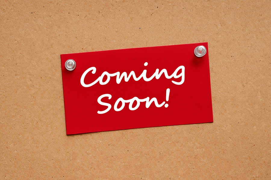 Next Auction Coming Soon